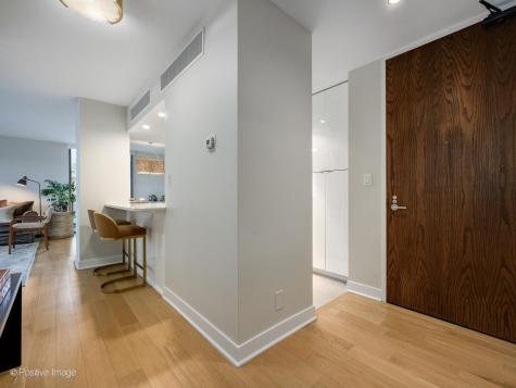 1310 North Ritchie Court Chicago IL 60610