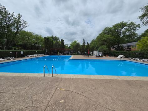 707 East Falcon Drive Arlington Heights IL 60005