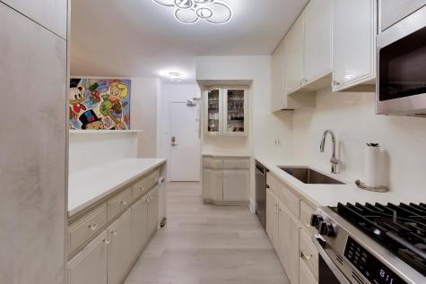 1000 North Lake Shore Drive Chicago IL 60611
