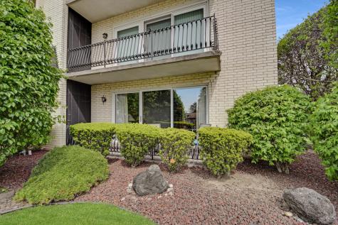 15265 Catalina Drive Orland Park IL 60462