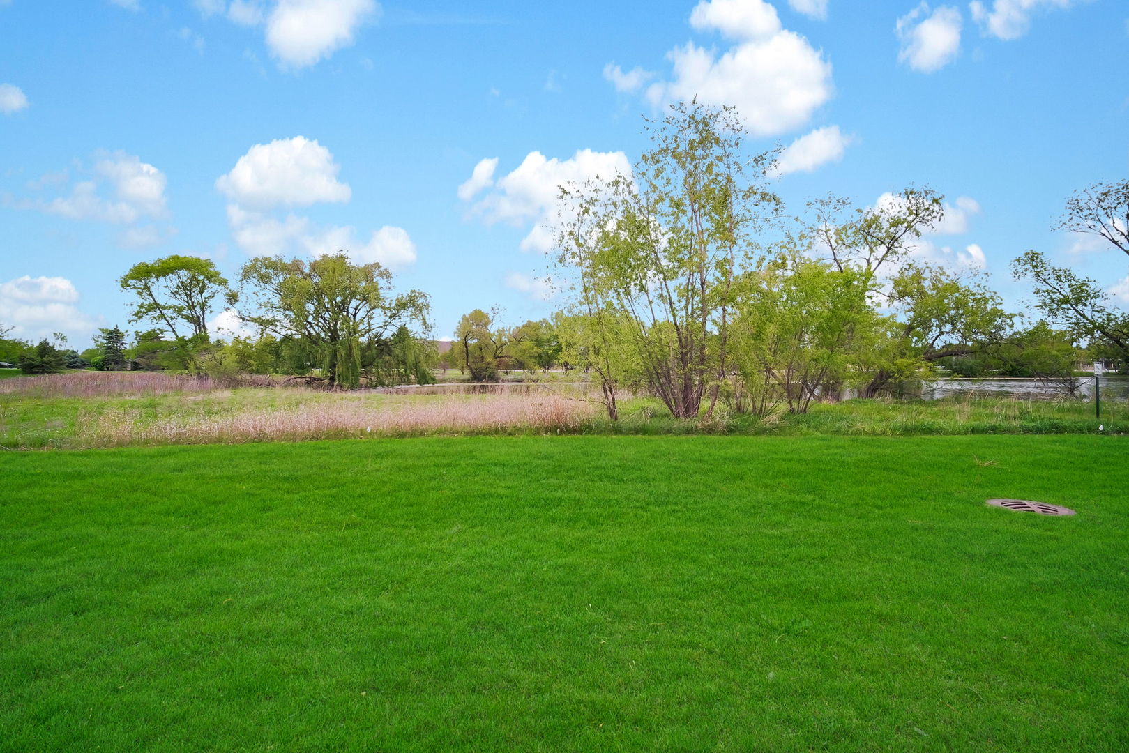 1028 Orchard Pond Court Lake Zurich IL 60047
