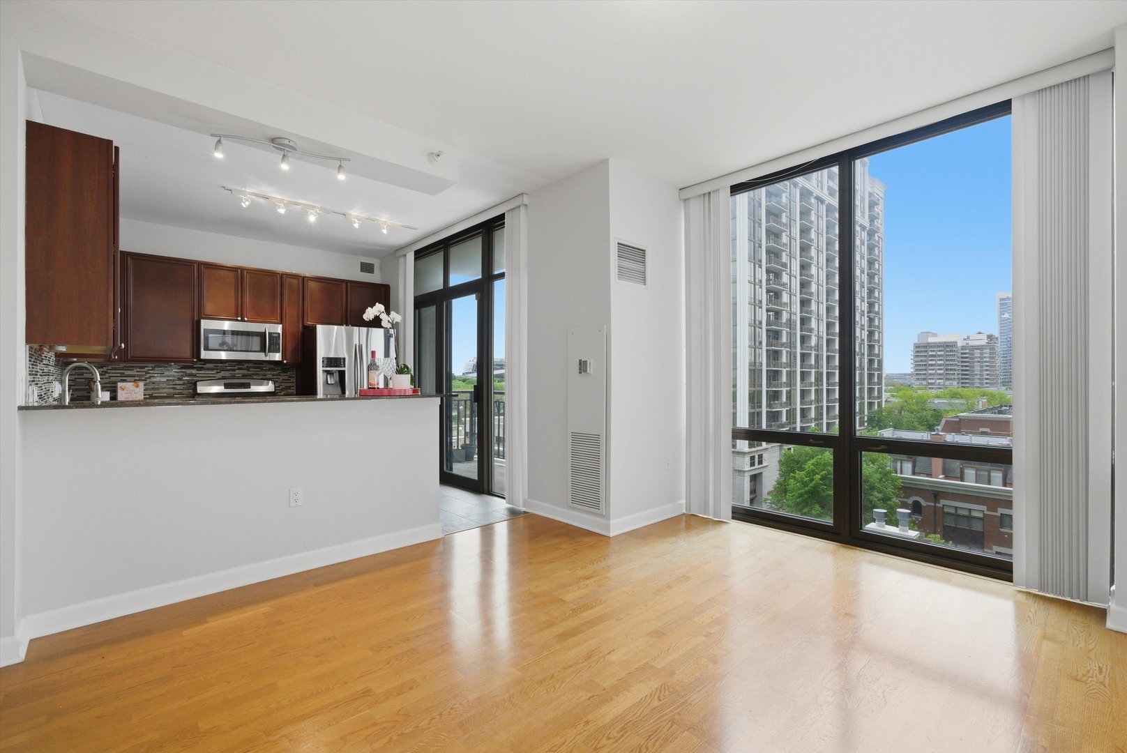 233 East 13th Street Chicago IL 60605