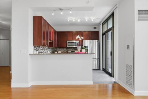 233 East 13th Street Chicago IL 60605