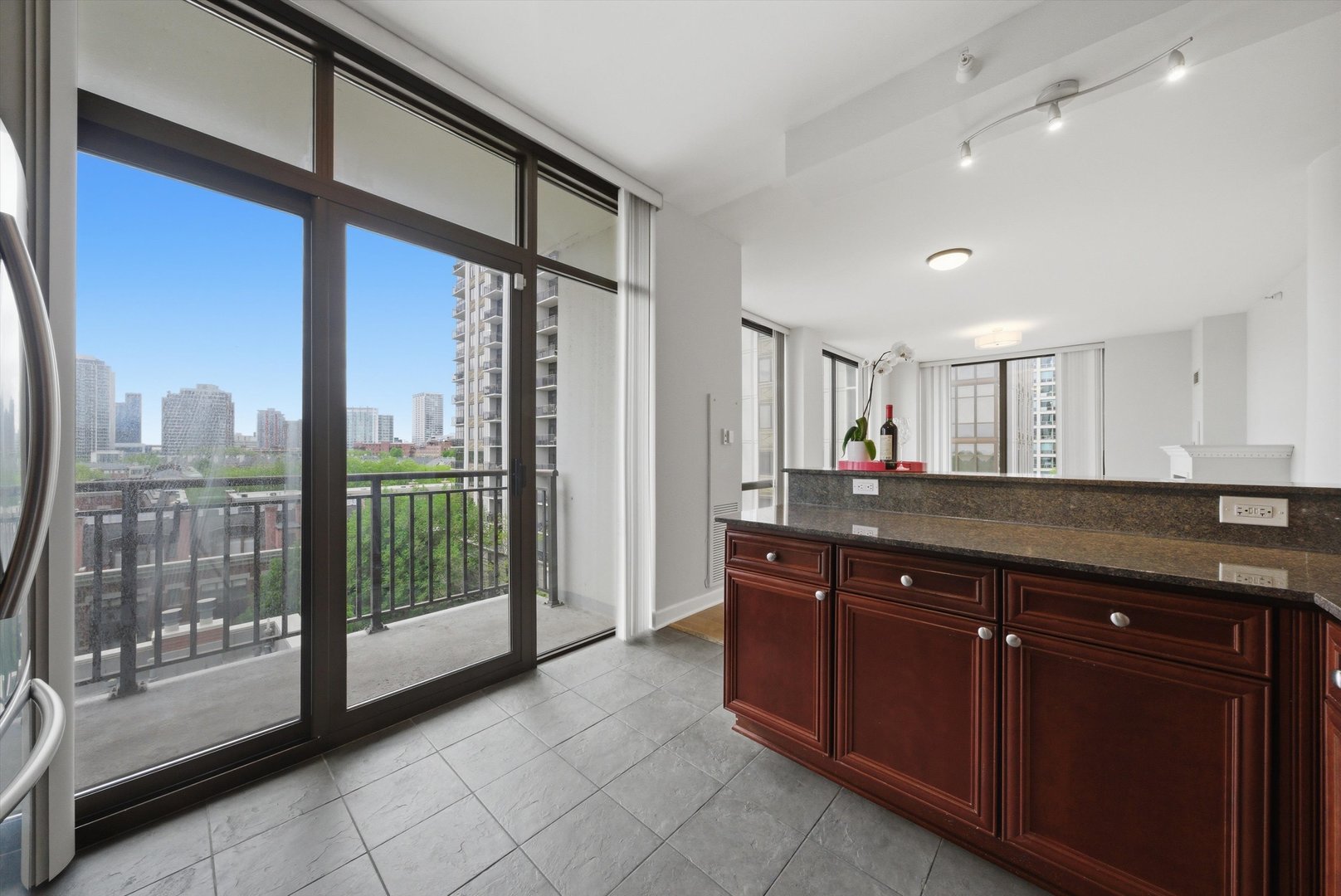 233 East 13th Street Chicago IL 60605