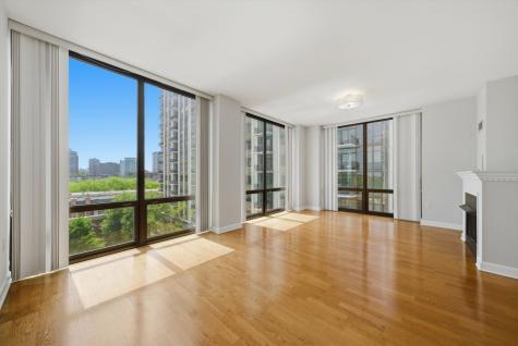 233 East 13th Street Chicago IL 60605