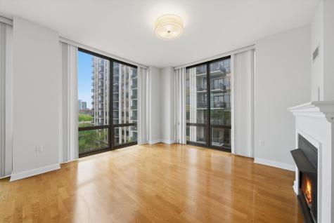 233 East 13th Street Chicago IL 60605