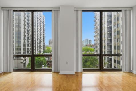 233 East 13th Street Chicago IL 60605