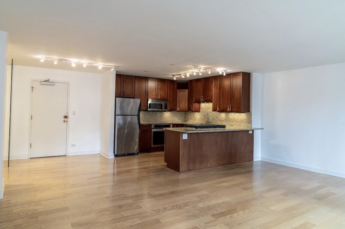 850 North Dewitt Place Chicago IL 60611