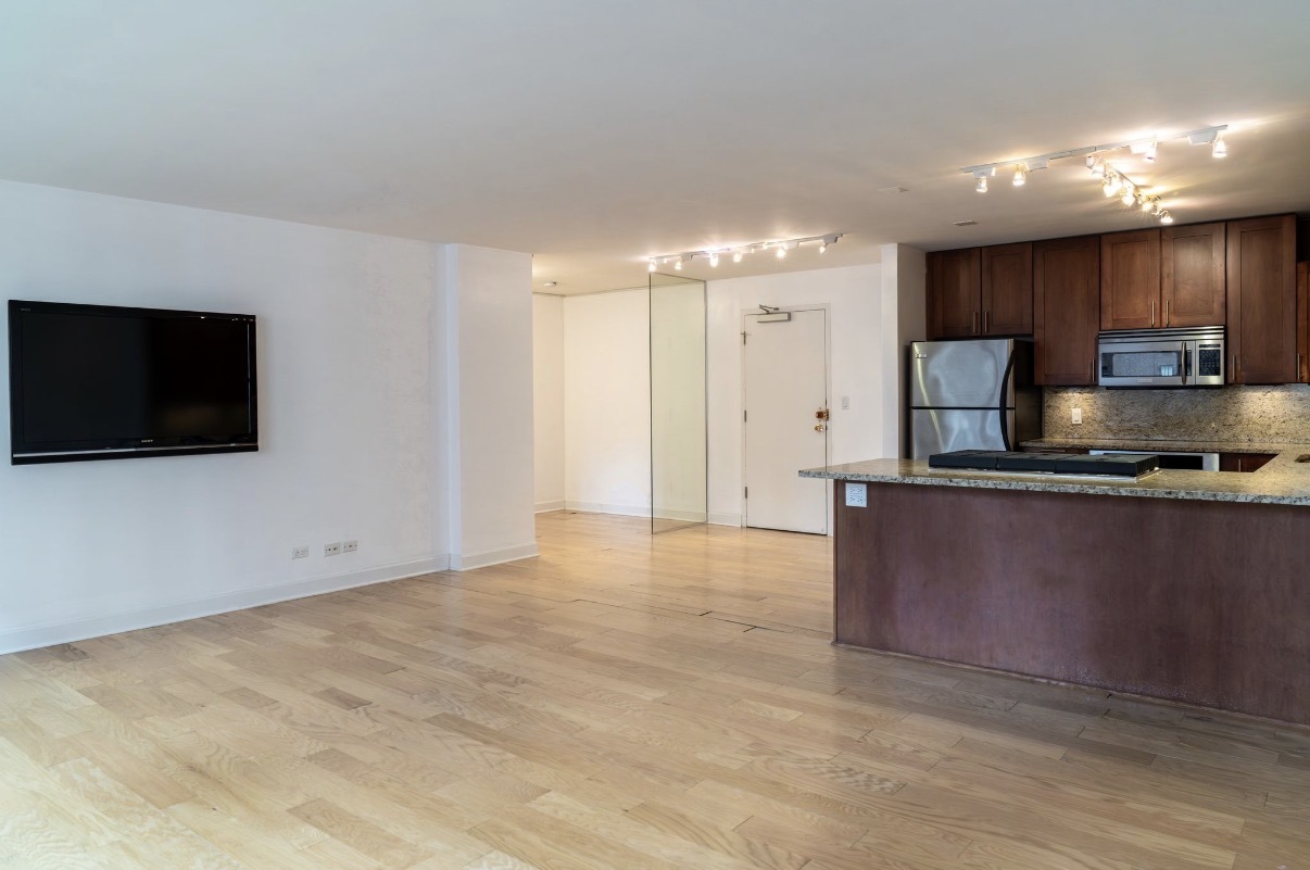850 North Dewitt Place Chicago IL 60611