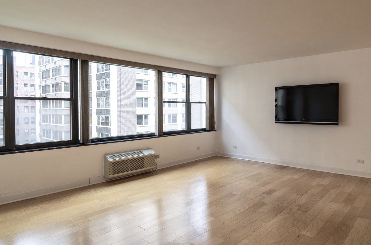 850 North Dewitt Place Chicago IL 60611