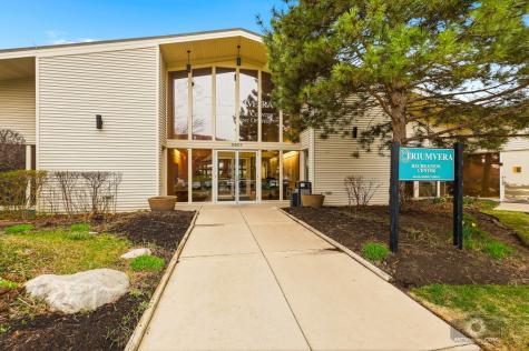 3925 Triumvera Drive Glenview IL 60025