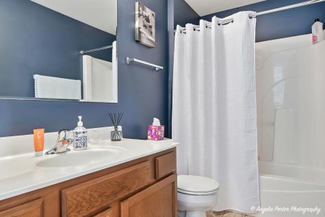 1260 Remington Drive Volo IL 60020