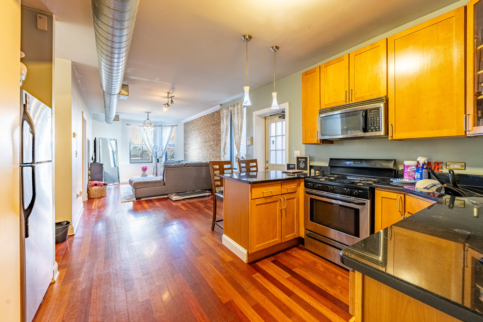 2029 West Coulter Street Chicago IL 60608