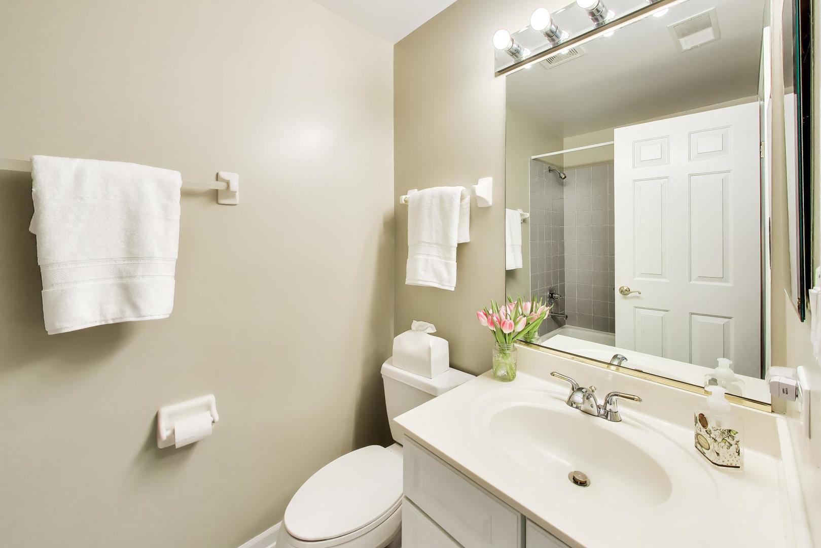 11171 Edgebrook Lane Indian Head Park IL 60525