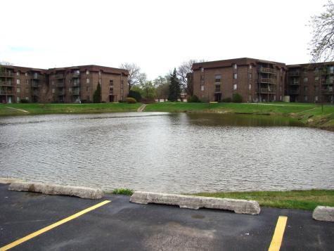 830 Elder Road Homewood IL 60430
