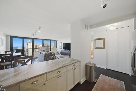 1560 North Sandburg Terrace Chicago IL 60610