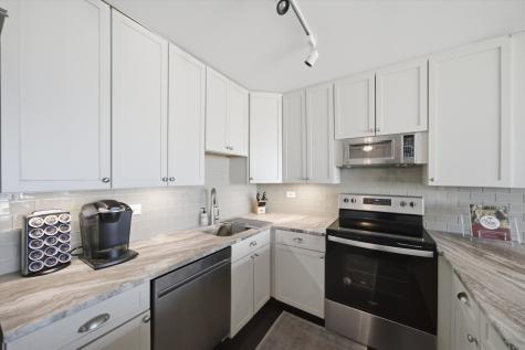 1560 North Sandburg Terrace Chicago IL 60610