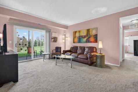 6420 Pine Trail Lane Tinley Park IL 60477