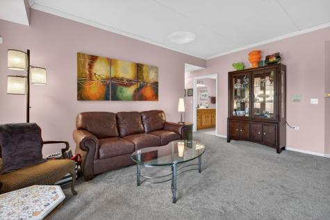 6420 Pine Trail Lane Tinley Park IL 60477