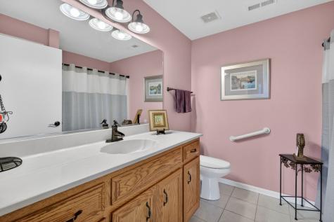 6420 Pine Trail Lane Tinley Park IL 60477