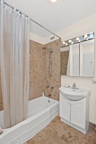 1360 North Sandburg Terrace Chicago IL 60610