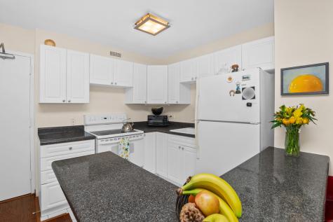 1360 North Sandburg Terrace Chicago IL 60610