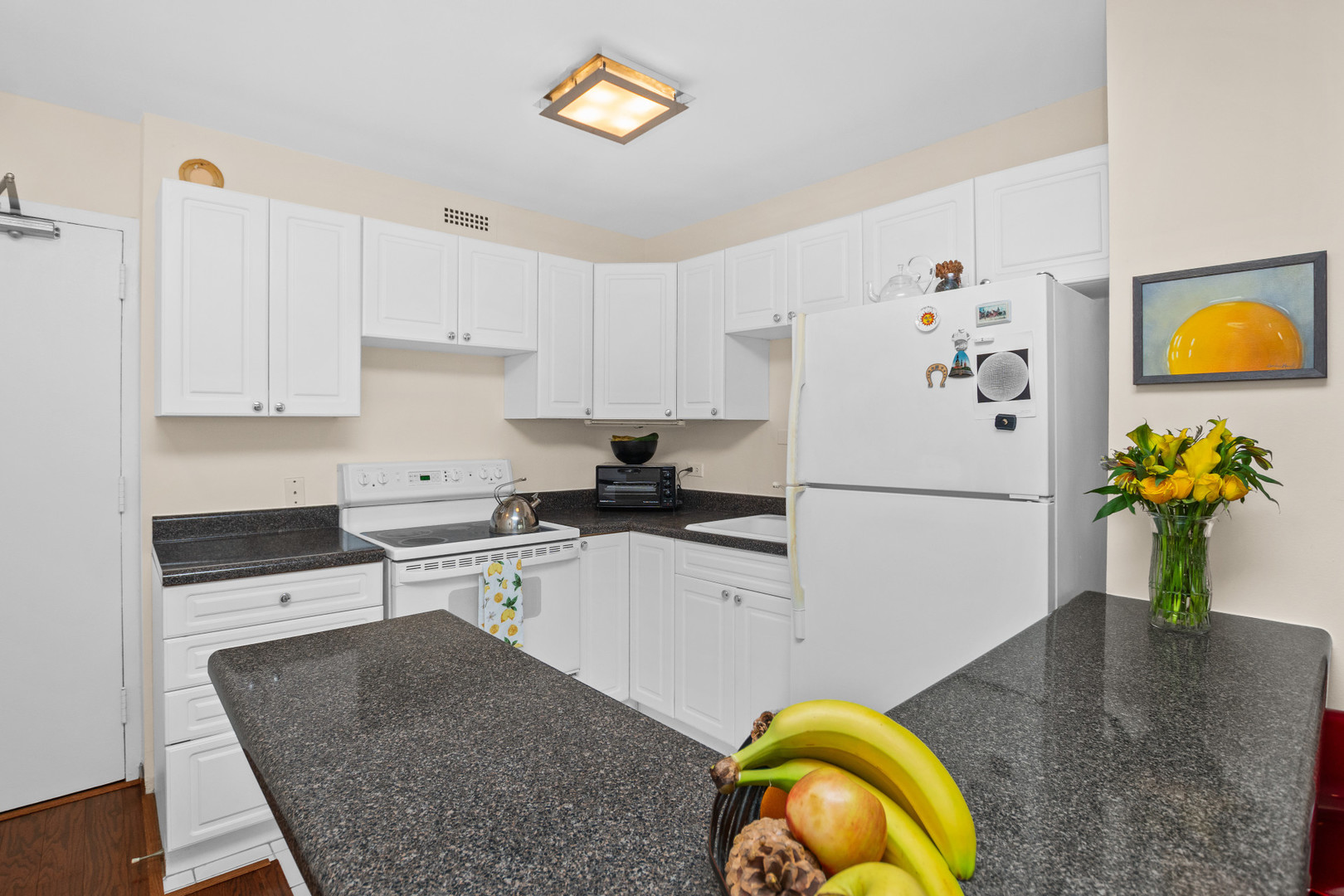 1360 North Sandburg Terrace Chicago IL 60610