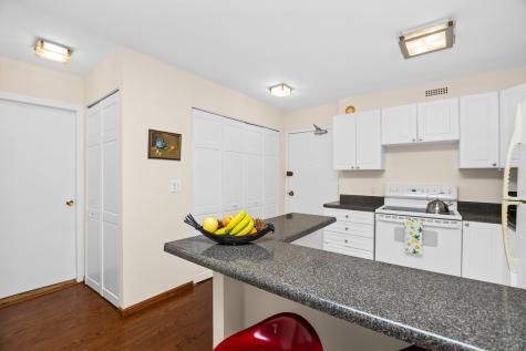 1360 North Sandburg Terrace Chicago IL 60610