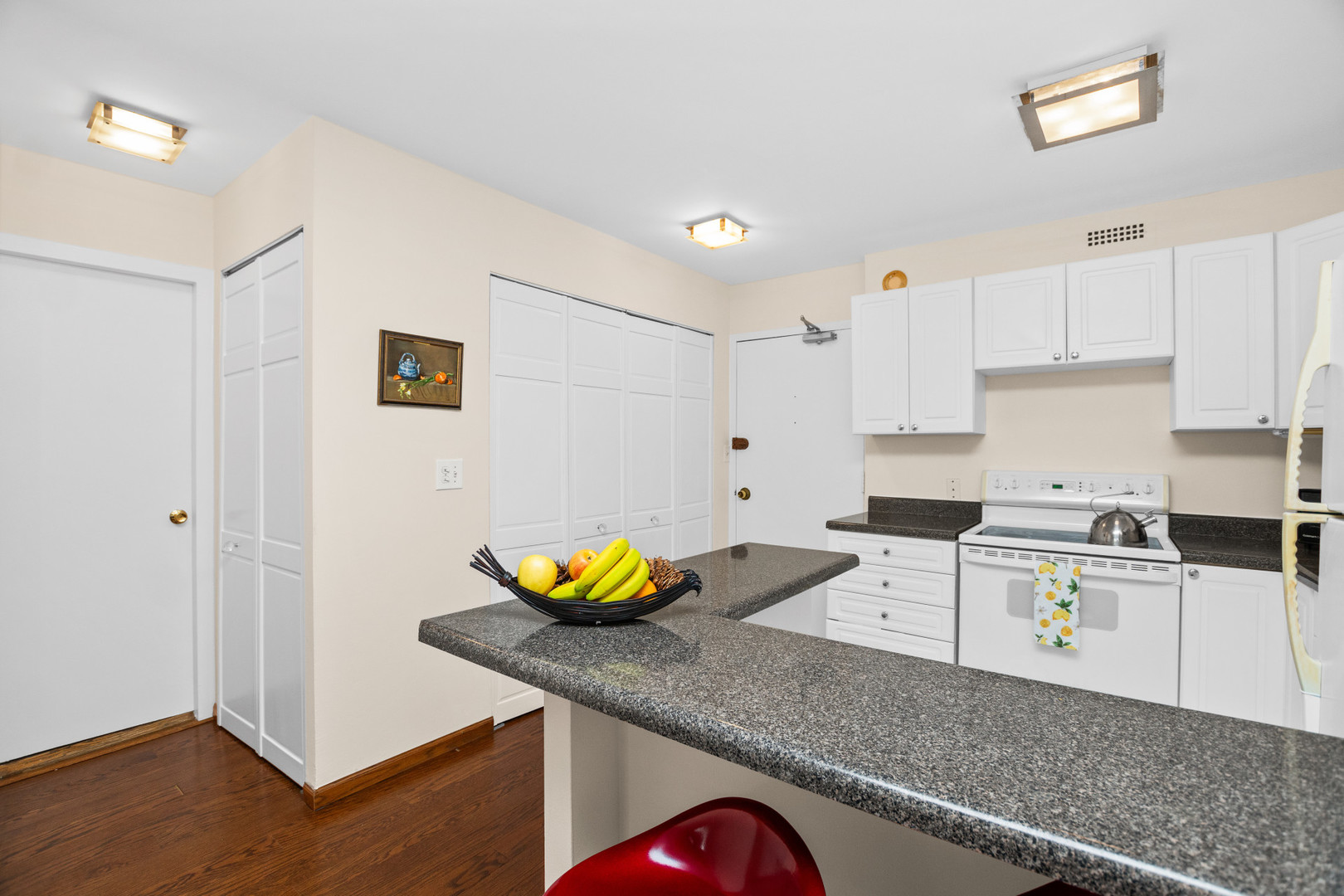 1360 North Sandburg Terrace Chicago IL 60610