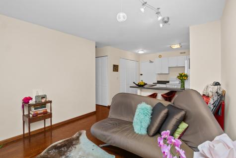 1360 North Sandburg Terrace Chicago IL 60610