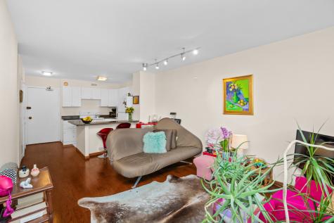 1360 North Sandburg Terrace Chicago IL 60610