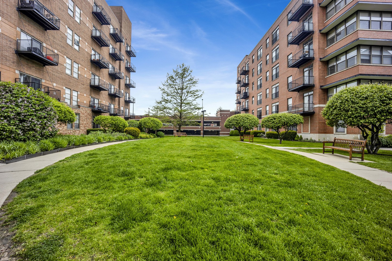 1000 East 53rd Street Chicago IL 60615