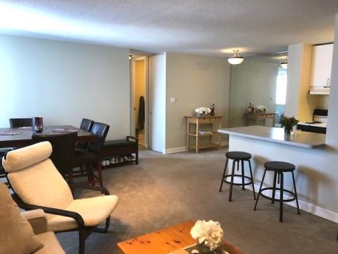 1339 North Dearborn Street Chicago IL 60610