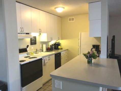 1339 North Dearborn Street Chicago IL 60610