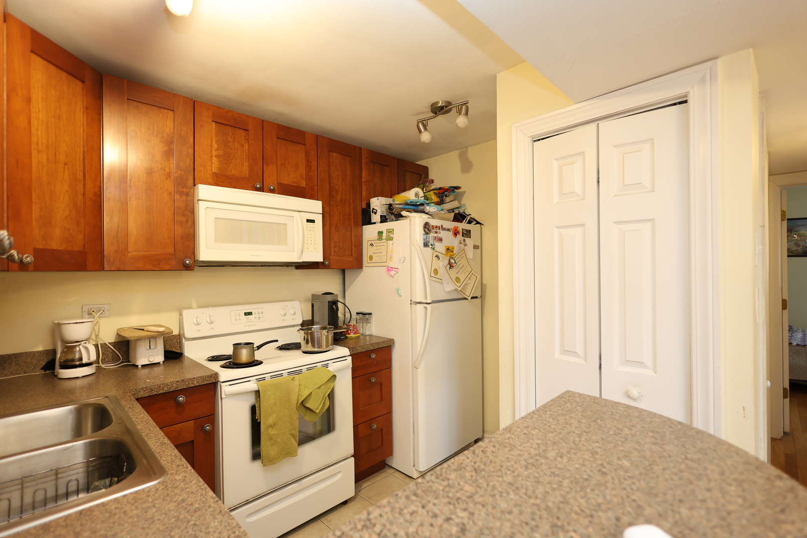 10111 Old Orchard Court Skokie IL 60076