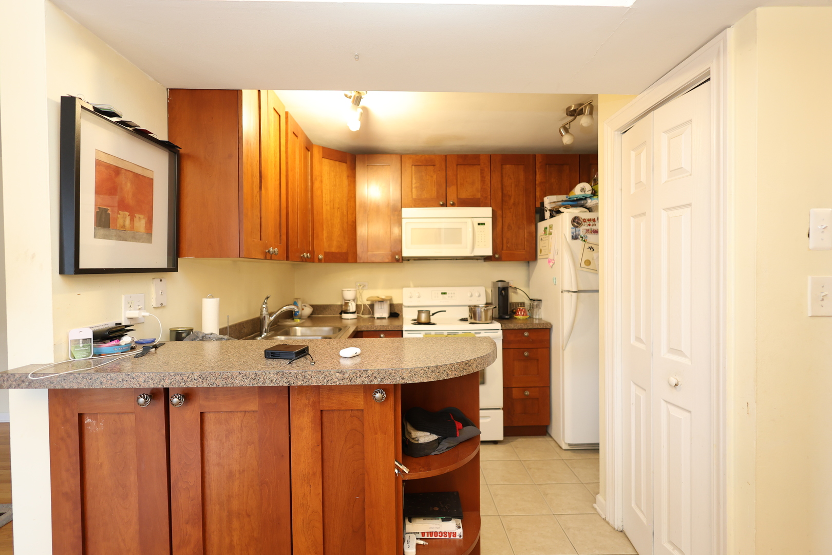 10111 Old Orchard Court Skokie IL 60076