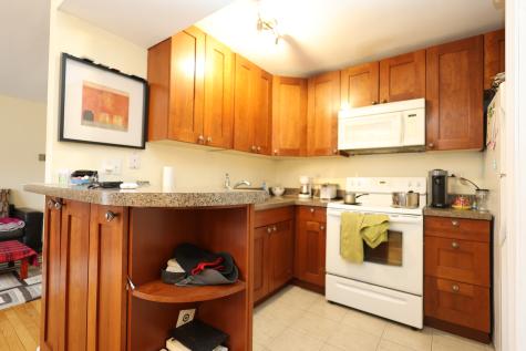 10111 Old Orchard Court Skokie IL 60076