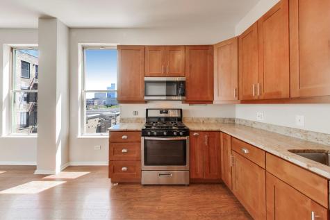 1631 South Michigan Avenue Chicago IL 60616