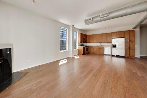 1631 South Michigan Avenue Chicago IL 60616