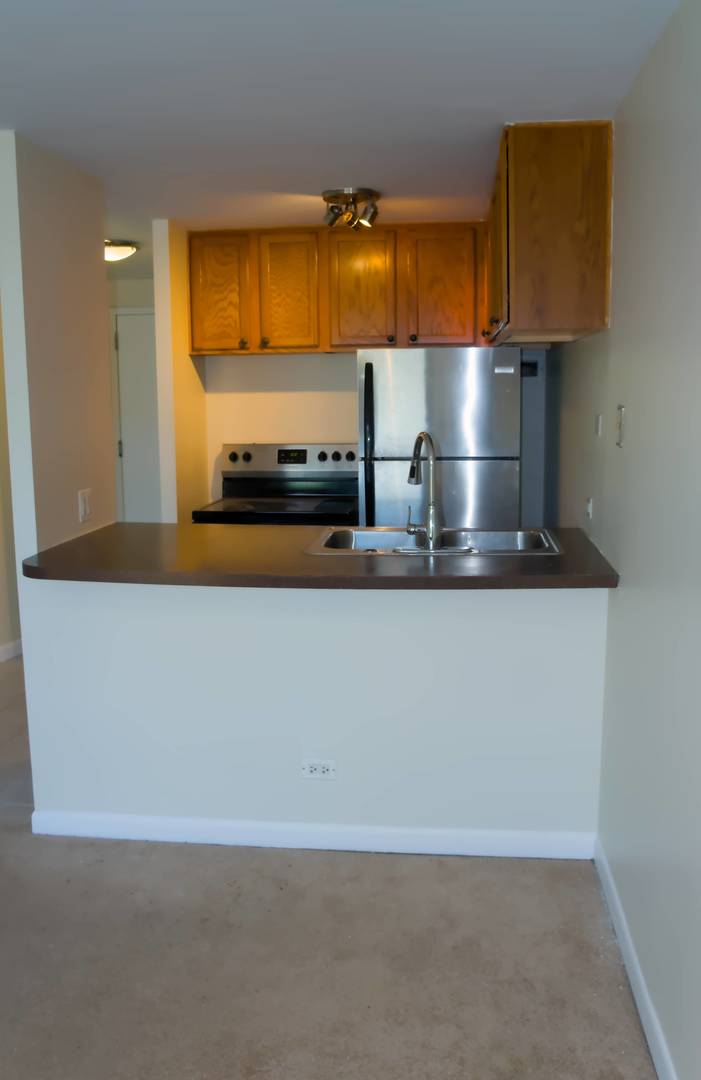 1221 North Dearborn Parkway Chicago IL 60610