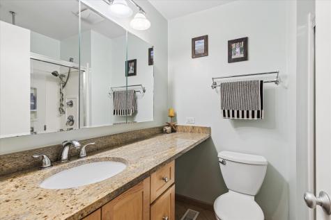 20 Oak Tree Court Elmhurst IL 60126