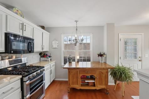 1279 Merrimack Court Crystal Lake IL 60014