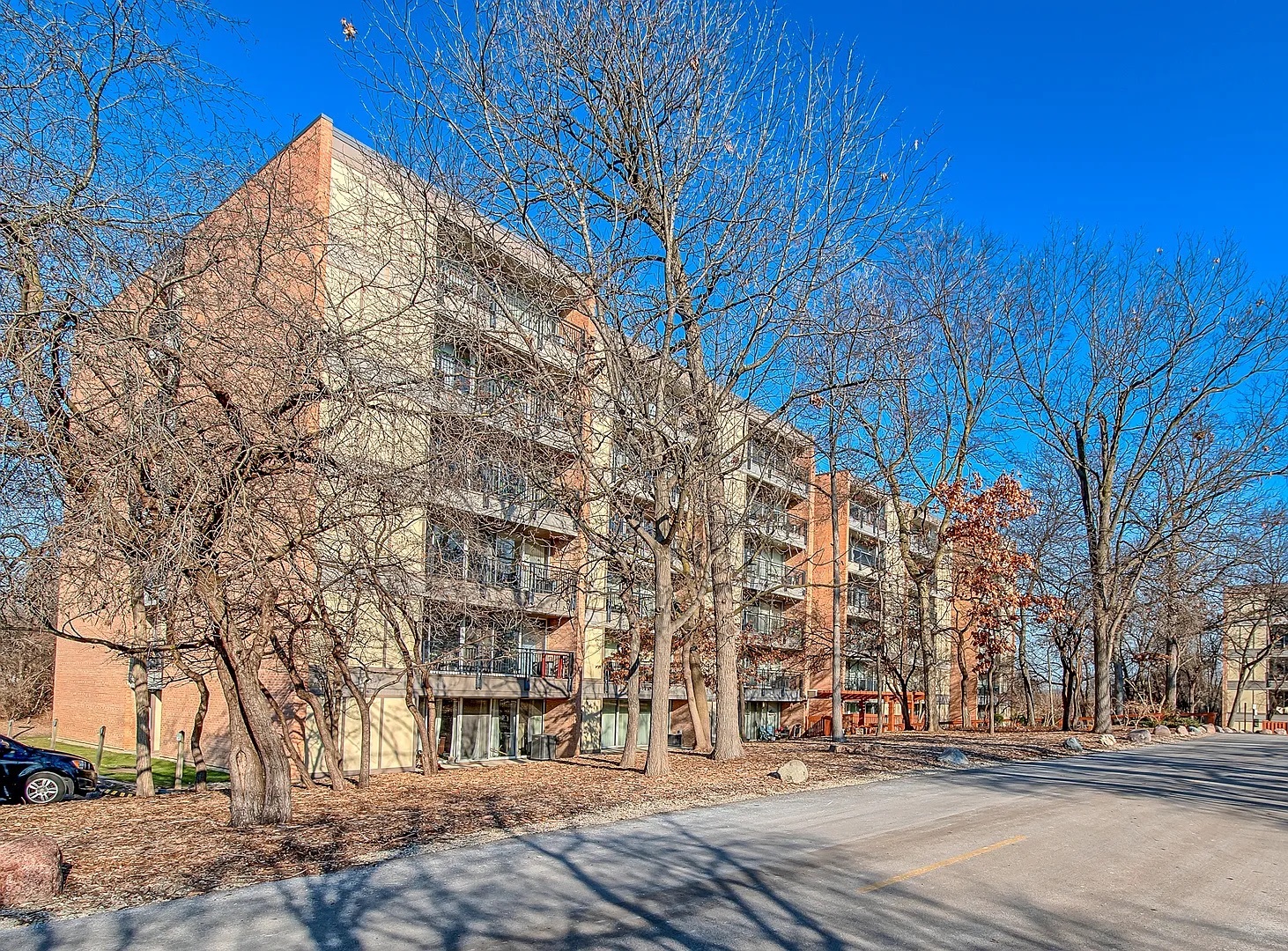 6010 Oakwood Drive Lisle IL 60532