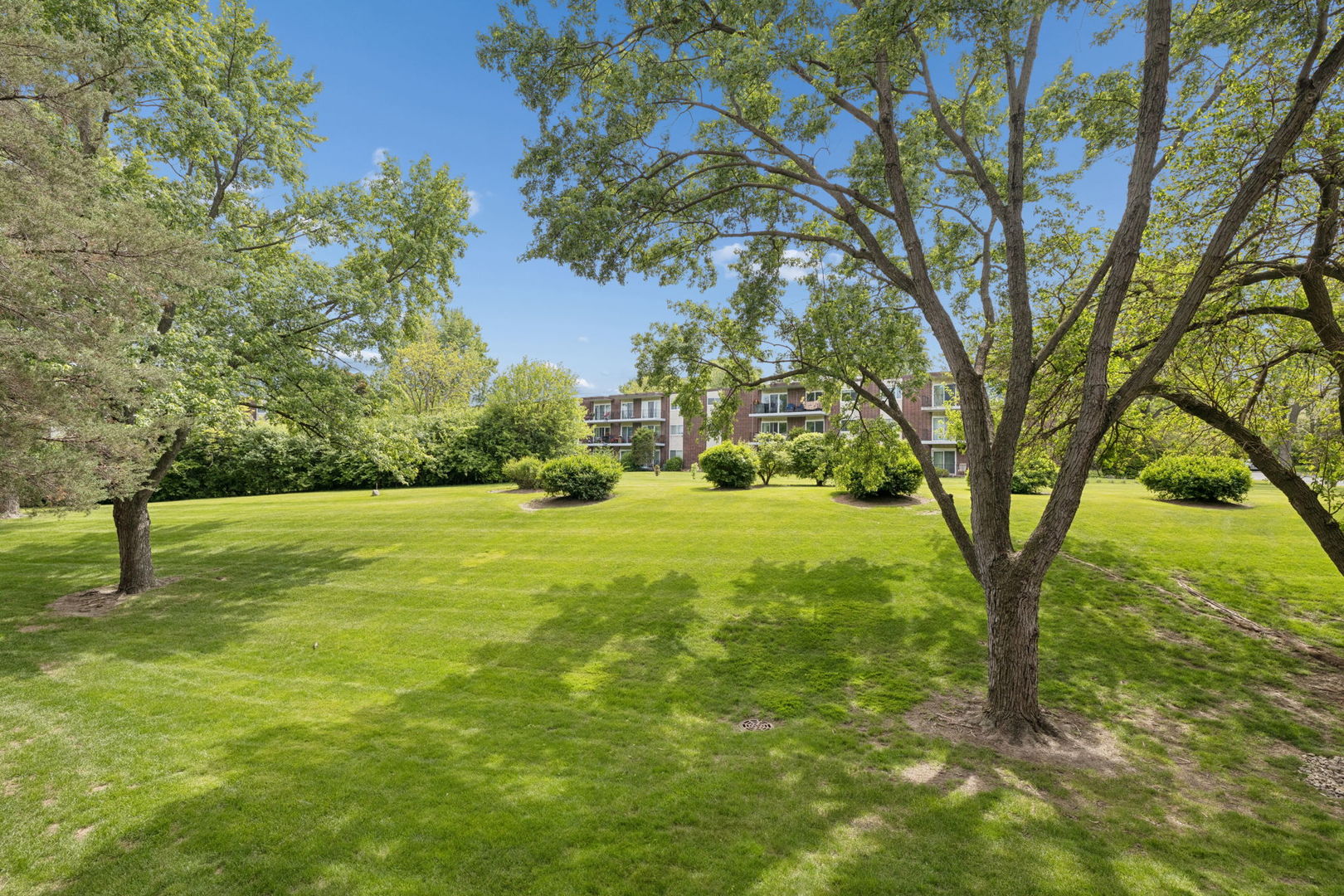 5300 Walnut Avenue Downers Grove IL 60515