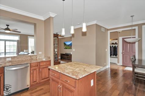 8638 Saddlebred Court Frankfort IL 60423