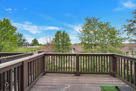 8638 Saddlebred Court Frankfort IL 60423