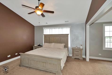 8638 Saddlebred Court Frankfort IL 60423