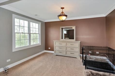 8638 Saddlebred Court Frankfort IL 60423