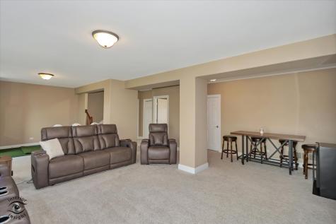 8638 Saddlebred Court Frankfort IL 60423