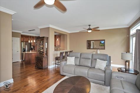 8638 Saddlebred Court Frankfort IL 60423